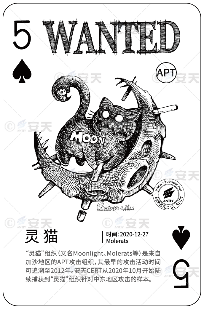 小神童论坛网